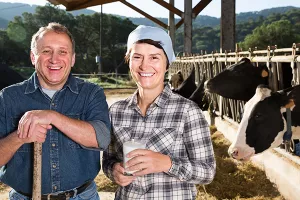 'Posao' proizvodnje mesa preuzet će biljke