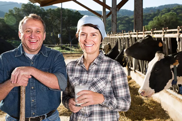 'Posao' proizvodnje mesa preuzet će biljke