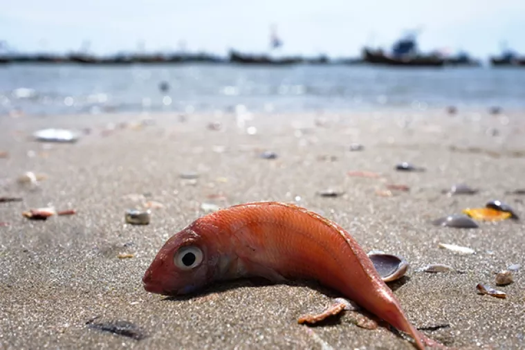 UN najavio nultu toleranciju na onečišćenje oceana plastikom