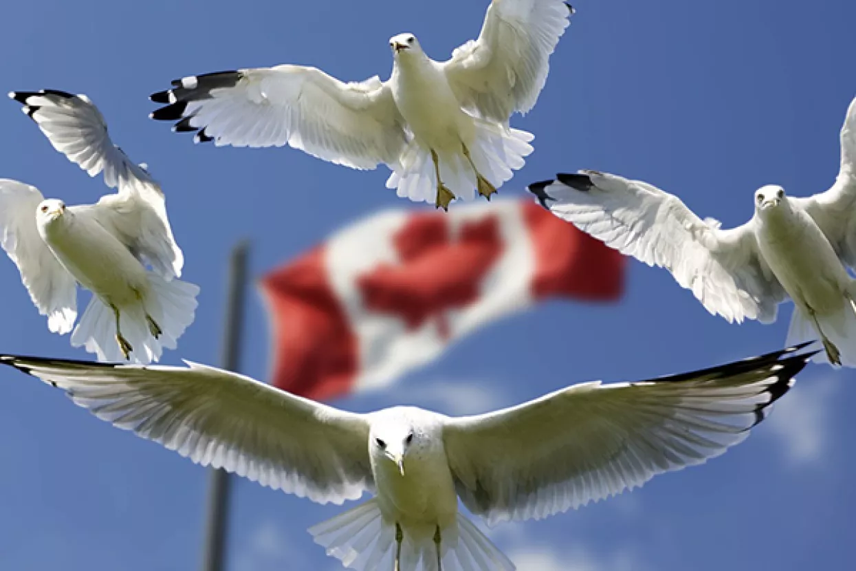 VIDEO: Započeo je eksperiment s temeljnim dohotkom u Ontariju