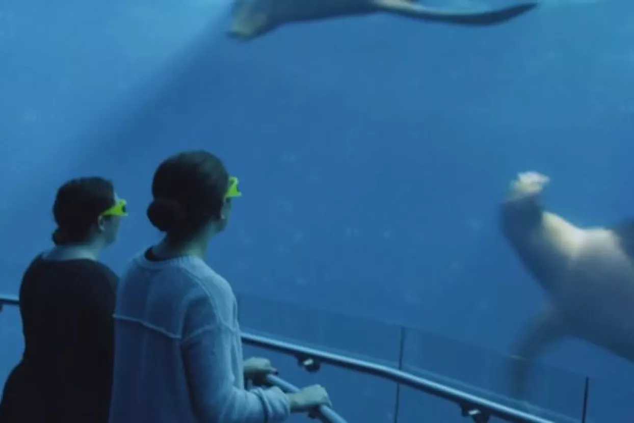 Njujorčani na trgu virtualno plivaju s dupinima, grbavim kitovima i divovskim lignjama