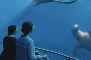 Njujorčani na trgu virtualno plivaju s dupinima, grbavim kitovima i divovskim lignjama