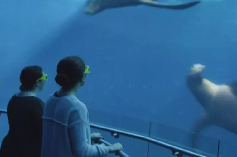 Njujorčani na trgu virtualno plivaju s dupinima, grbavim kitovima i divovskim lignjama