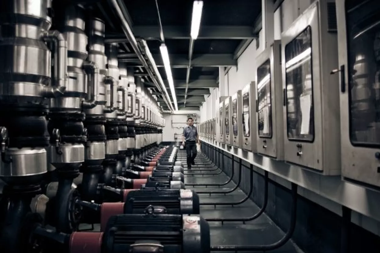 Ljudski rod dosegnuo svoj vrhunac, u nekim stvarima i postignućima postupno nazadujemo