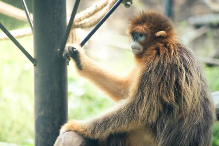 Stanovnici zagrebačkog ZOO-a pozirali pred objektivom veleposlanika