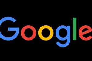 Google: Hrvate u 2017. od pojmova najviše zanimao DIP, a od događaja izbori