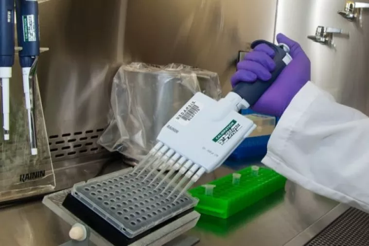 MZO: Projekt od 82 milijuna kuna za zapošljavanje 154 mlada istraživača i doktoranda