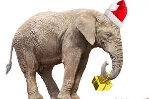 VIDEO: Tajlandskoj djeci darove dijele rasplesani slonovi