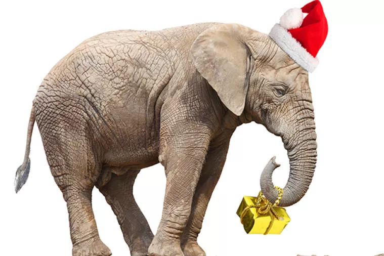 VIDEO: Tajlandskoj djeci darove dijele rasplesani slonovi