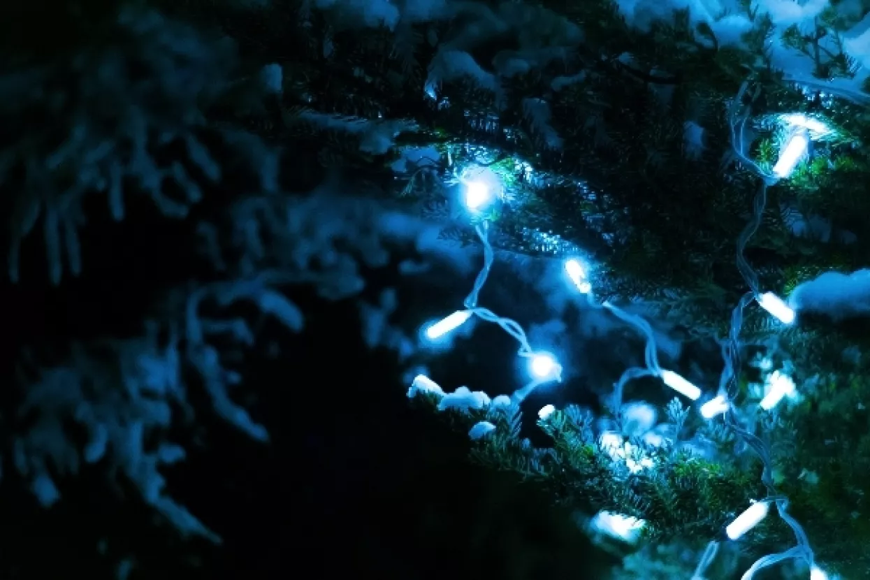 Samci, osobe bez prijatelja, stariji i siroma&scaron;ni u najvećem riziku od blagdanske depresije