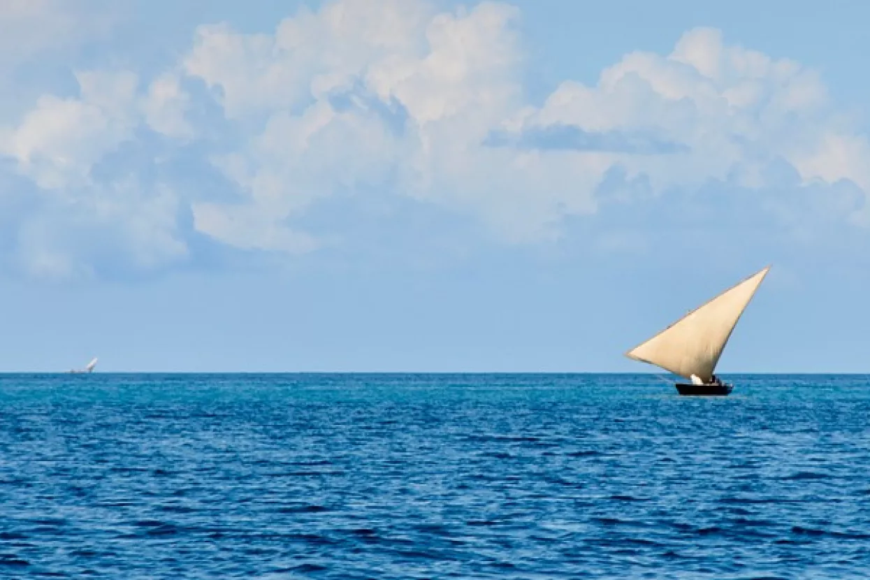 Poljski mornar  u društvu mačke sedam mjeseci plutao Indijskim oceanom