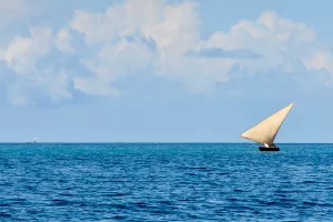 Poljski mornar  u društvu mačke sedam mjeseci plutao Indijskim oceanom