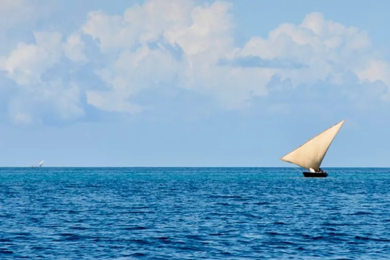 Poljski mornar  u društvu mačke sedam mjeseci plutao Indijskim oceanom