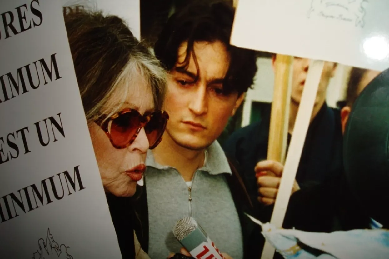 Brigitte Bardot objavljuje 'knjigu-testament': Bit će to bilanca mog postojanja