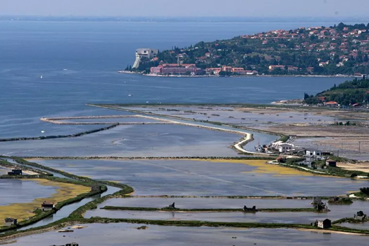 Cerar: Implementacija arbitraže nije za raspravu, Slovenija u subotu počinje s njezinom provedbom