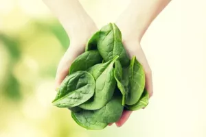 Svakodnevna prehrana zelenim lisnatim povrćem 'pomlađuje' um za 11 godina
