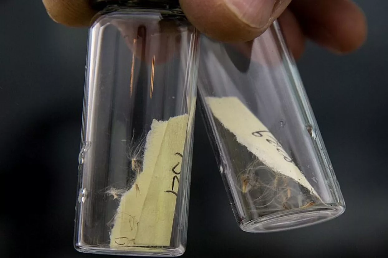 Poljoprivredna inspekcija lani aktivna: 26 zabrana, 649 optužna prijedloga i 52 prekršajna naloga