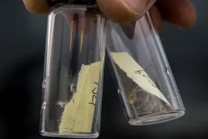 Poljoprivredna inspekcija lani aktivna: 26 zabrana, 649 optužna prijedloga i 52 prekršajna naloga