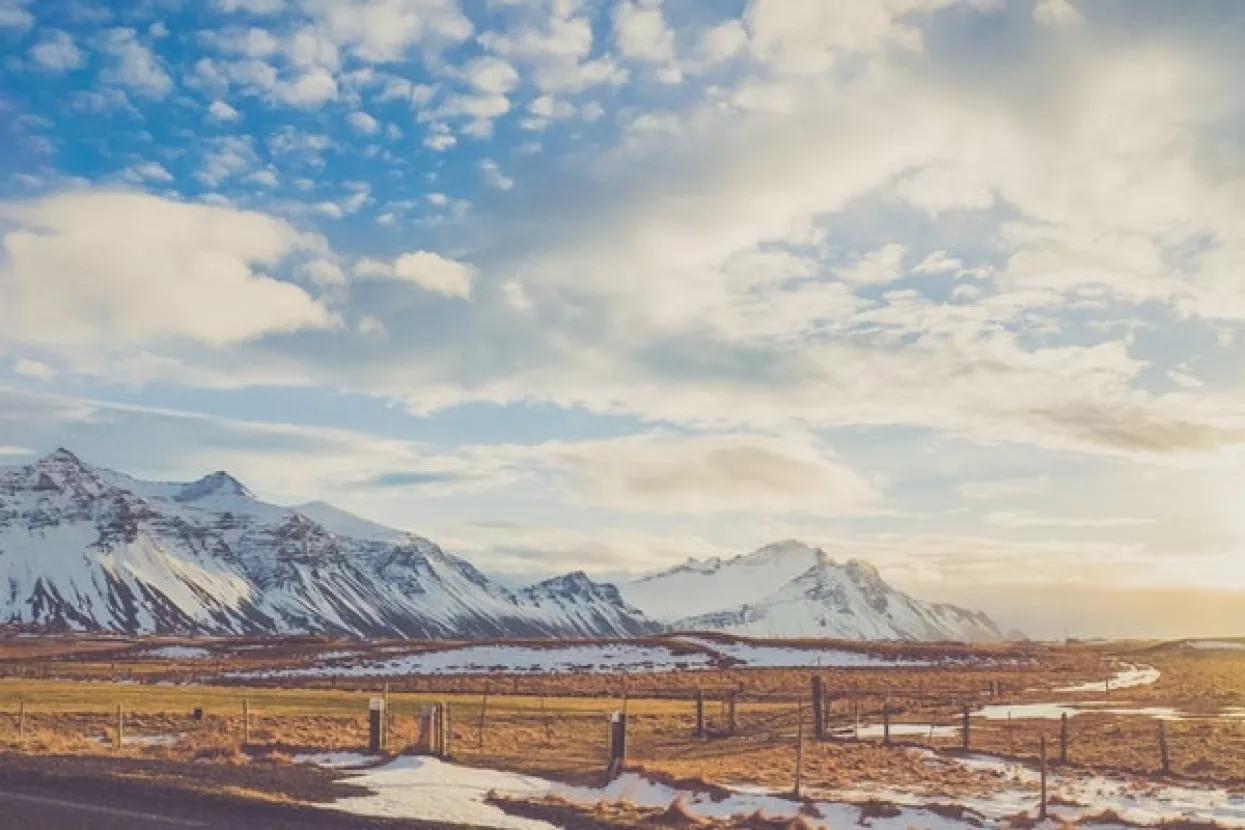 Cijene roba na Chicago Mercantile Exchangeu gotovo nepromijenjene