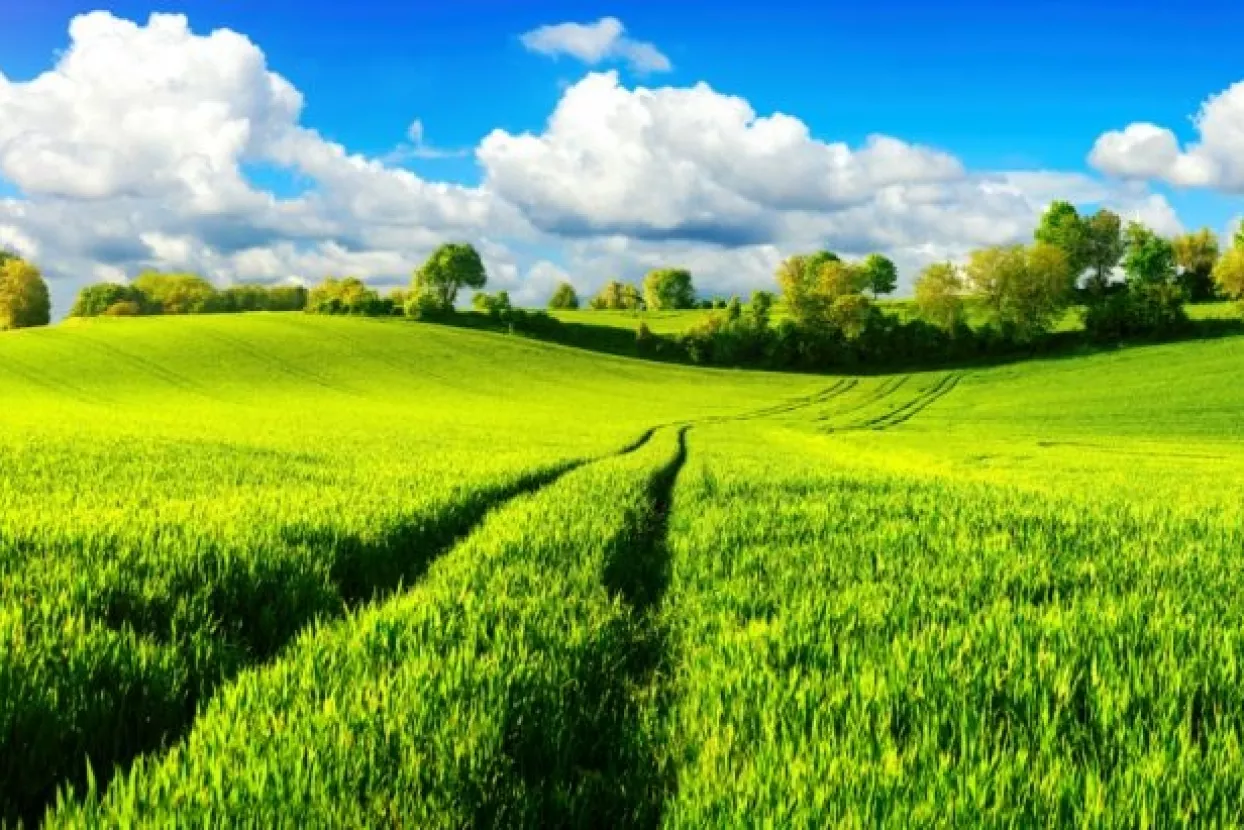 Trogodišnje istraživanje: DZS objavio strukturu poljoprivrednih gospodarstava