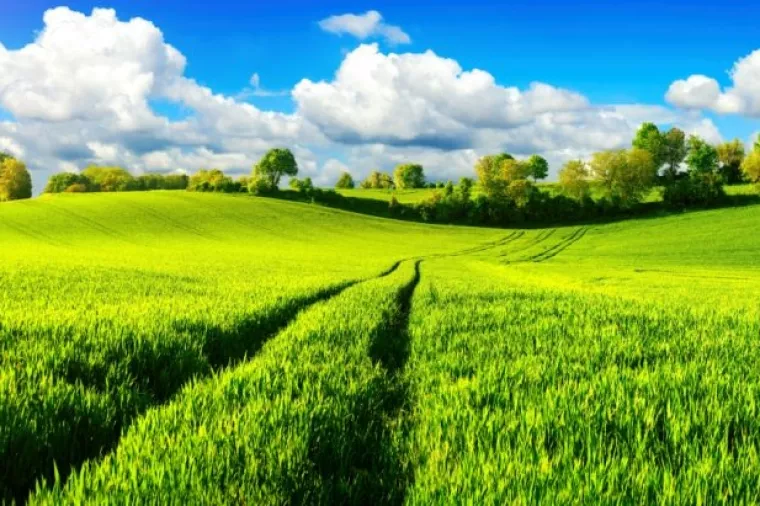 Trogodišnje istraživanje: DZS objavio strukturu poljoprivrednih gospodarstava