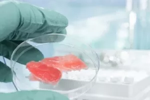 Startup koji meso uzgaja u laboratoriju prikupio 3 milijuna dolara investicija