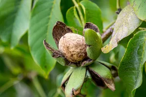 Pravda za sve: Nasljedniku prijete ovrhom za nepostojeći dug njegova oca