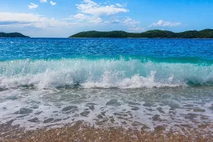 IRB-u 37 milijuna kuna za istraživački projekt BioProspecting Jadranskog mora