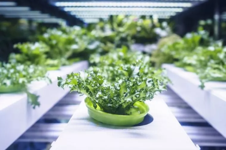 Njemačka testira 'svemirski' staklenik na Antarktici