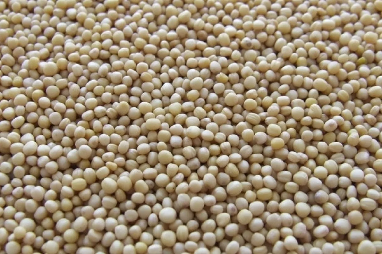 Pad zaliha ribljeg brašna, količine neće pokriti ni iduća tri mjeseca