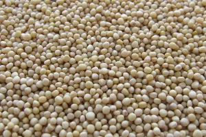 Pad zaliha ribljeg brašna, količine neće pokriti ni iduća tri mjeseca