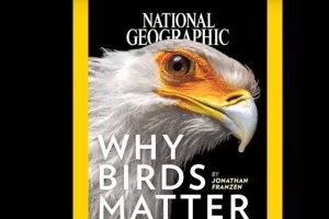 VIDEO: Odvojite minuticu pa proletite kroz 130 godina naslovnica National Geographica