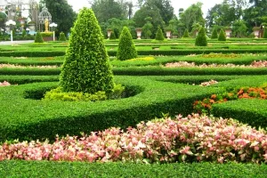 Izliječenima od raka vrtlarenje donijelo manje stresa i centimetara u struku