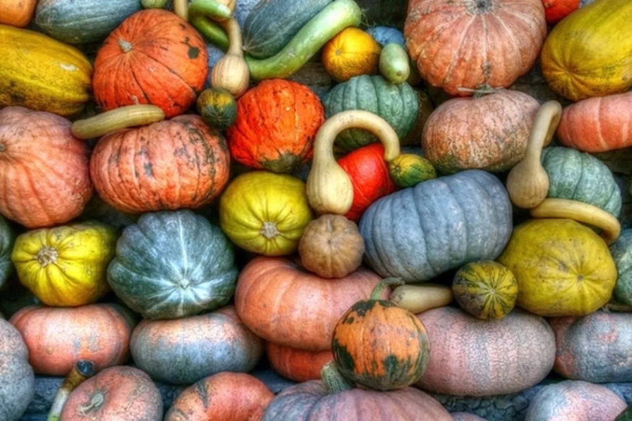 'Uživajte, to je iz Europe': EK nudi 169 milijuna eura za promociju poljoprivrednih proizvoda