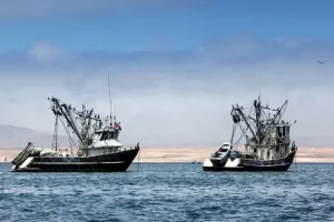 Savudrija: Prve kazne hrvatskim ribarima 'zbog nedopuštenog prelaska slovenske granice'