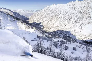 Tiskovne kampanje kreativnom dovitljivošću 'zasjenile' digitalne