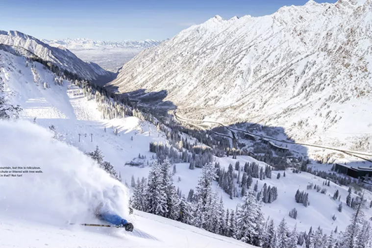 Tiskovne kampanje kreativnom dovitljivošću 'zasjenile' digitalne