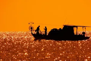 Ribarima u 2017. isplaćeno 206,6 milijuna kuna potpore