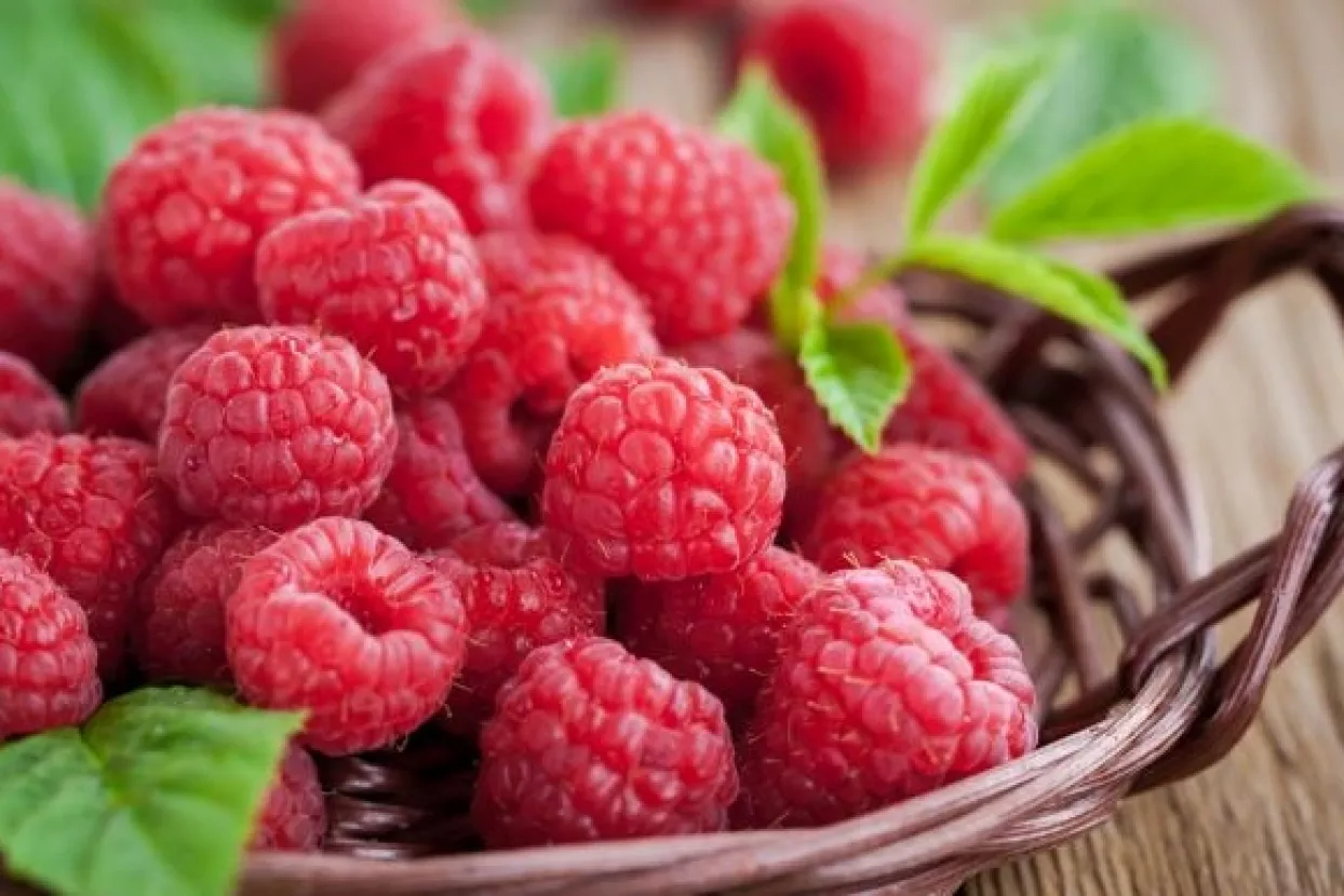 Pravda za sve: Poljoprivrednik bi zbog birokracije mogao ostati bez pola potpore