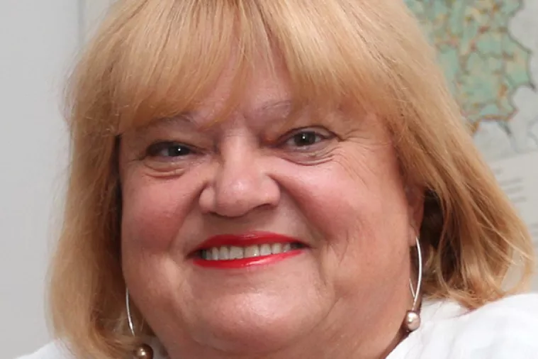 Mrak Taritaš i Hrelja traže da se iz europskih fondova financira ugradnja liftova