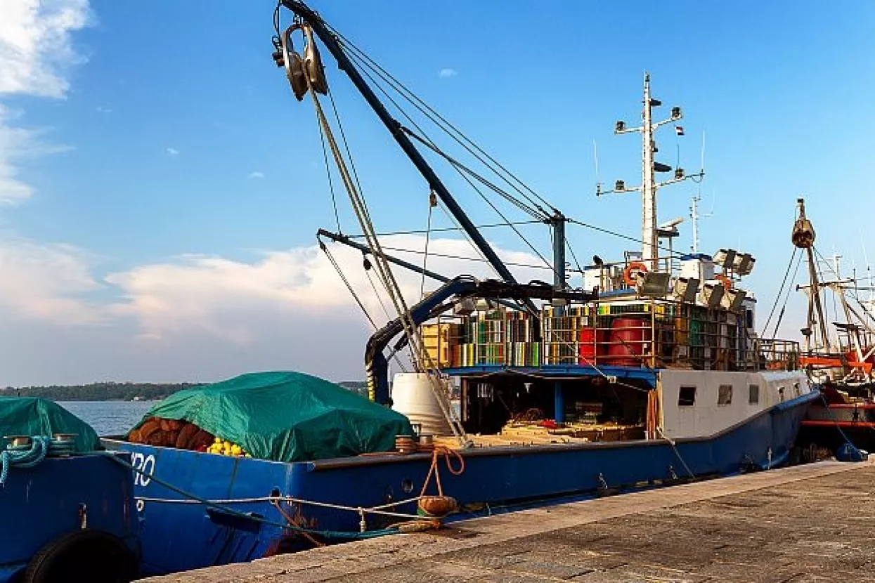 Slučaj kormorani: Ipak nema odstrela, ribari traže zadovoljavajuće rješenje