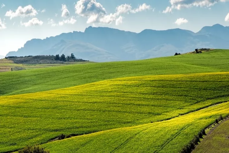Most: Poljoprivrednim zemljištem upravljalo se katastrofalno, novi zakon to neće promijeniti