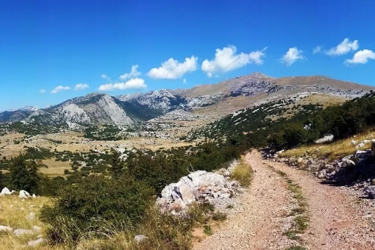 Divne snimke rijetko viđenih zvijeri na Sjevernom Velebitu