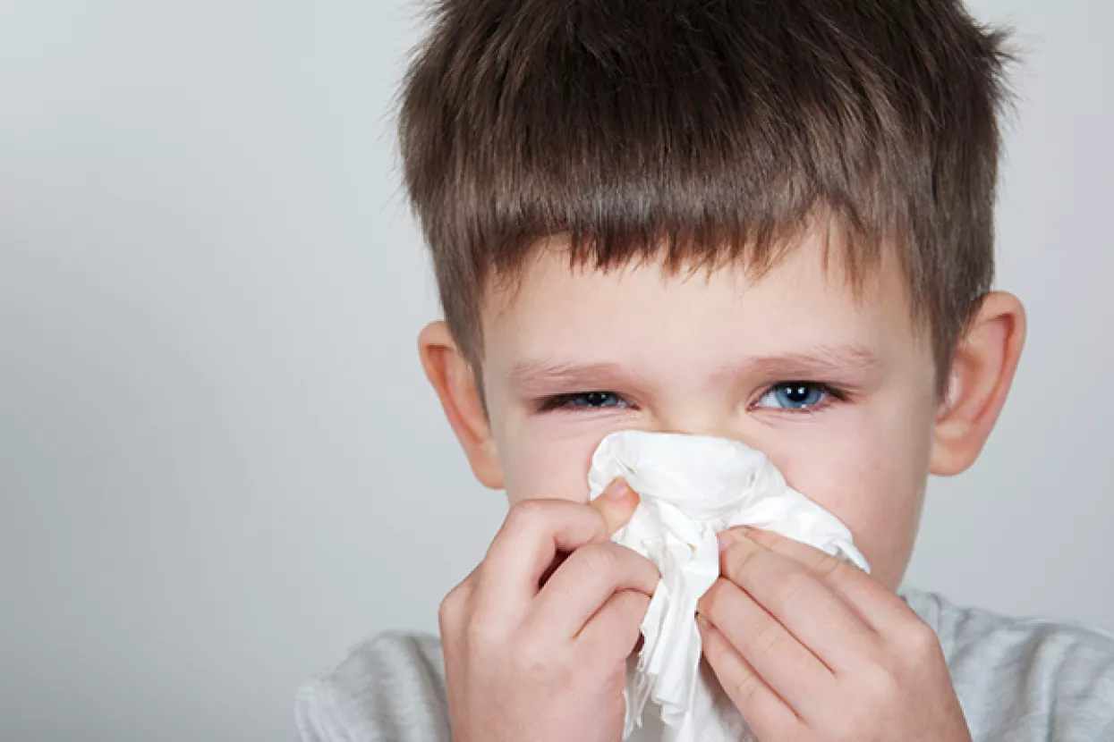 UNISDR: Riziku od pandemije ne pridaje se dovoljno važnosti, a broj virusa na razinama bez presedana