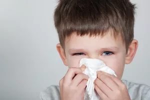 UNISDR: Riziku od pandemije ne pridaje se dovoljno važnosti, a broj virusa na razinama bez presedana