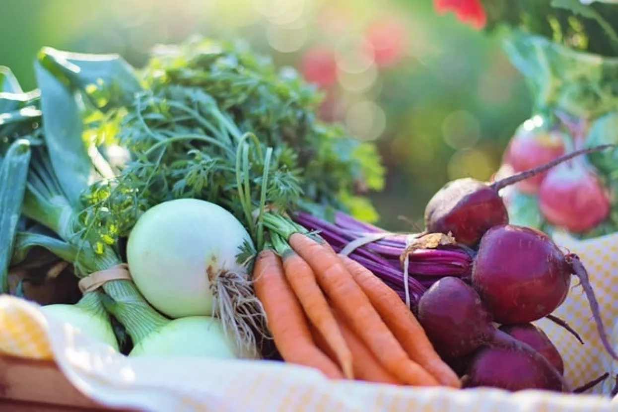 HGK:&nbsp;Hrvatska tro&scaron;i 23 eura za ekolo&scaron;ke proizvode po stanovniku