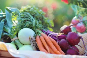 HGK: Hrvatska troši 23 eura za ekološke proizvode po stanovniku