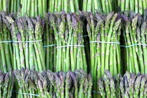 Internet užaren nakon studije koja aspargin iz &scaron;paroga povezuje s rakom