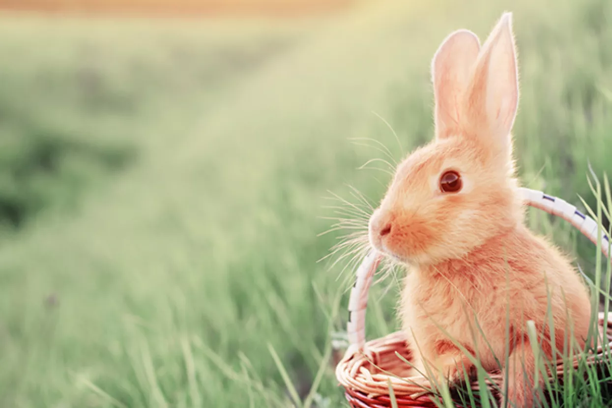 Povoljna situacija u gradskoj blagajni: Prve uskrsnice za nezaposlene u Sisku