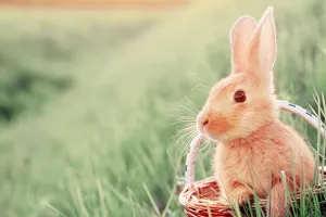 Povoljna situacija u gradskoj blagajni: Prve uskrsnice za nezaposlene u Sisku